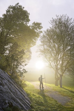 Ranger in der Morgendämmerung - Foto: Naturpark Arnsberger Wald / Klaus-Peter Kappest
