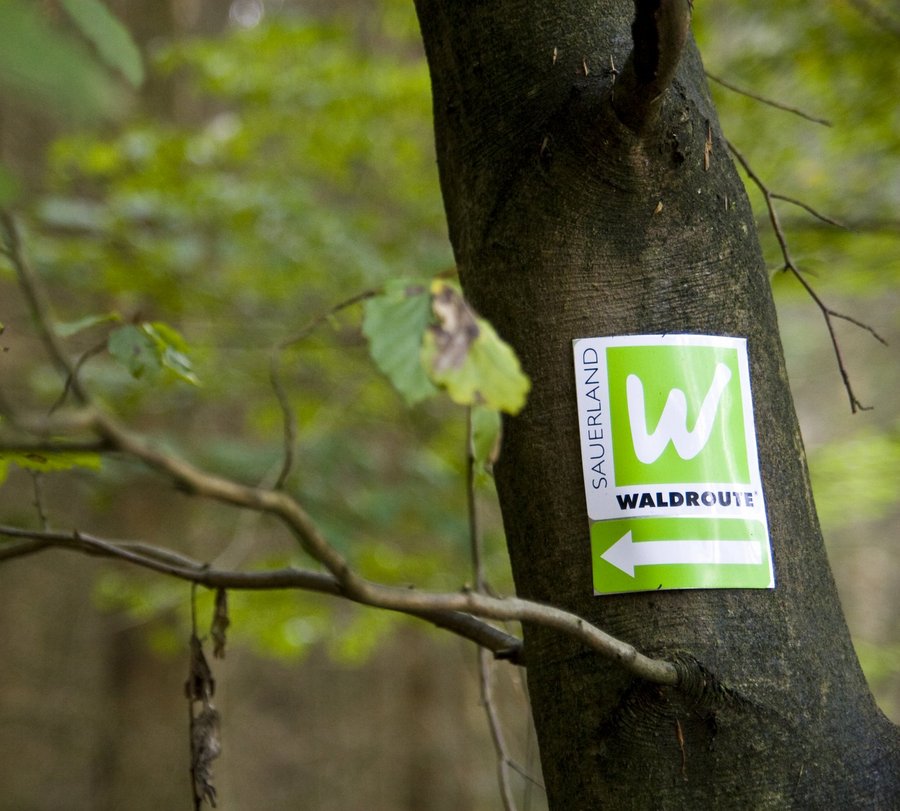 Markierungszeichen Sauerland-Waldroute - Foto: Sauerland-Tourismus e.V.