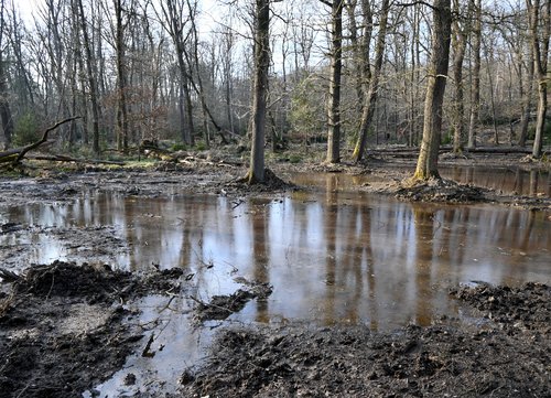 Erfolgreiche Maßnahme